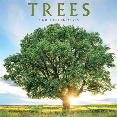 有顆樹|恆春有棵樹特色民宿The Tree（2024 年最新房價）